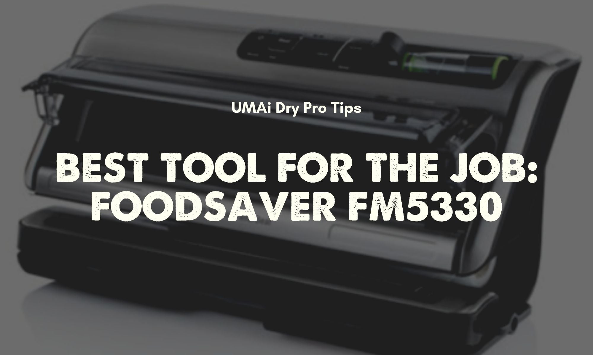 FoodSaver FM5330! Good Toys = More Fun!