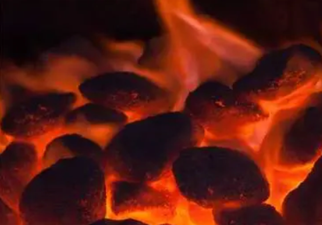 Gas ignition charcoal sales grill