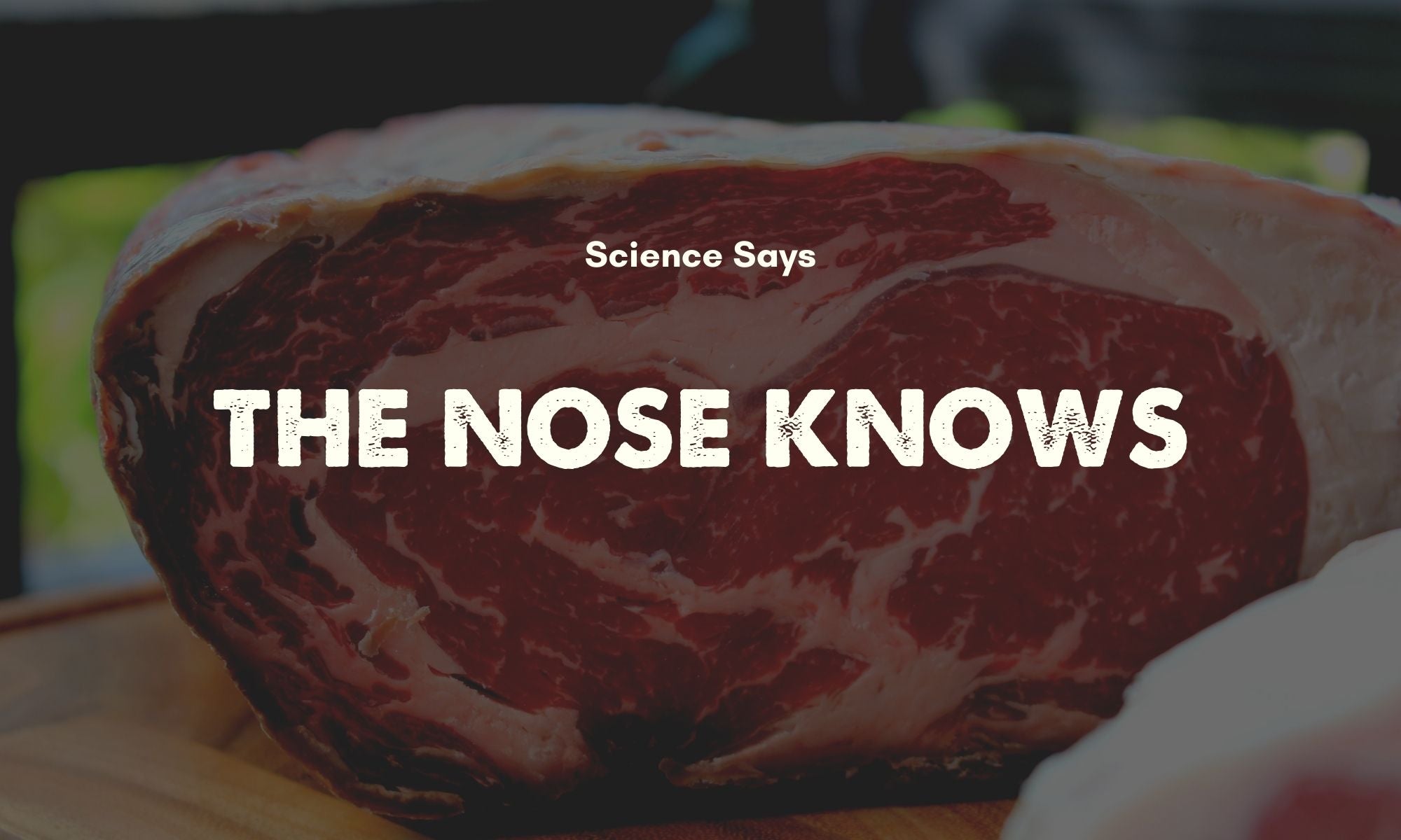 The Nose Knows