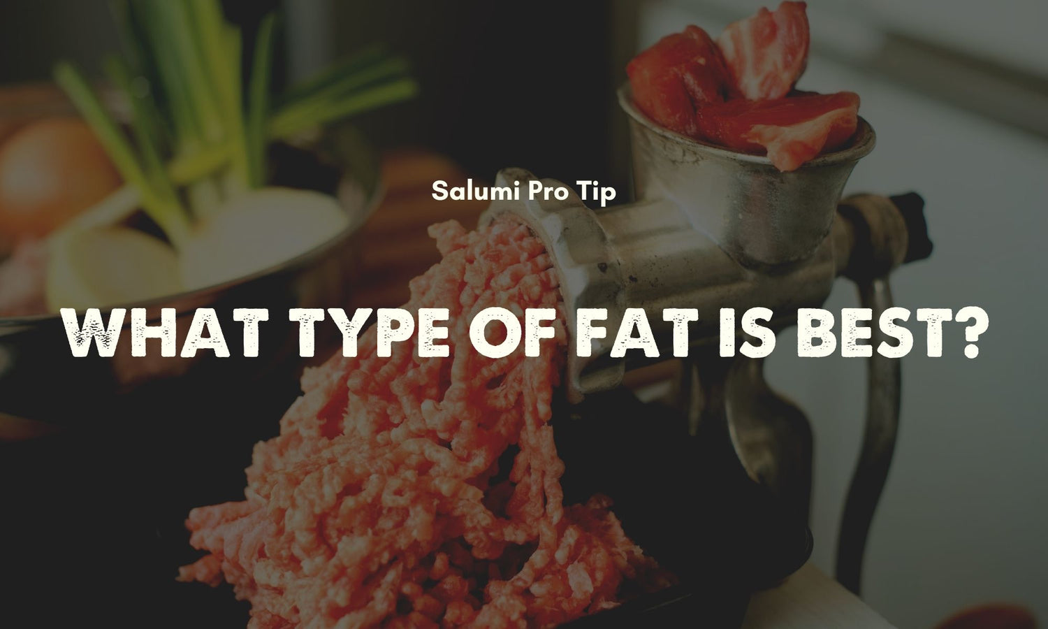 Salumi: What Type of Fat is Best?