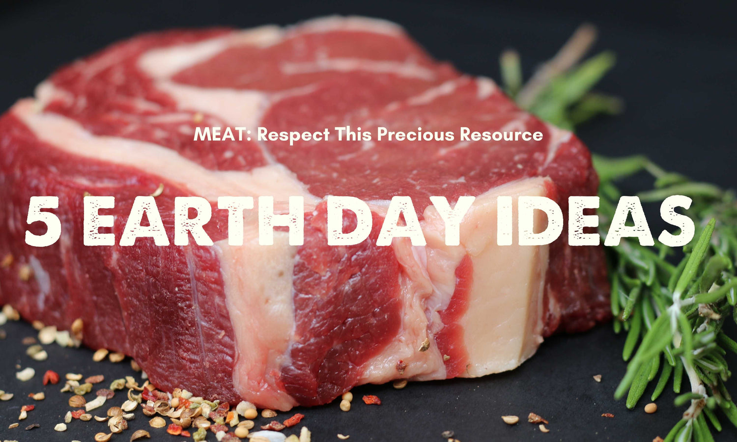 UMAi Dry earth day meat resource 5 ideas