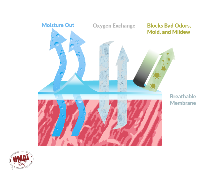UMAi Dry membrane permeability for dry aging meat