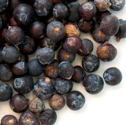UMAi Dry Juniper Berries